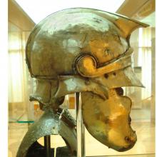 helmet6